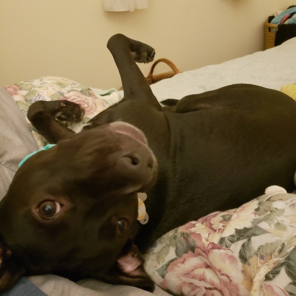 Meet Your Posher! - Picture 4 of 4